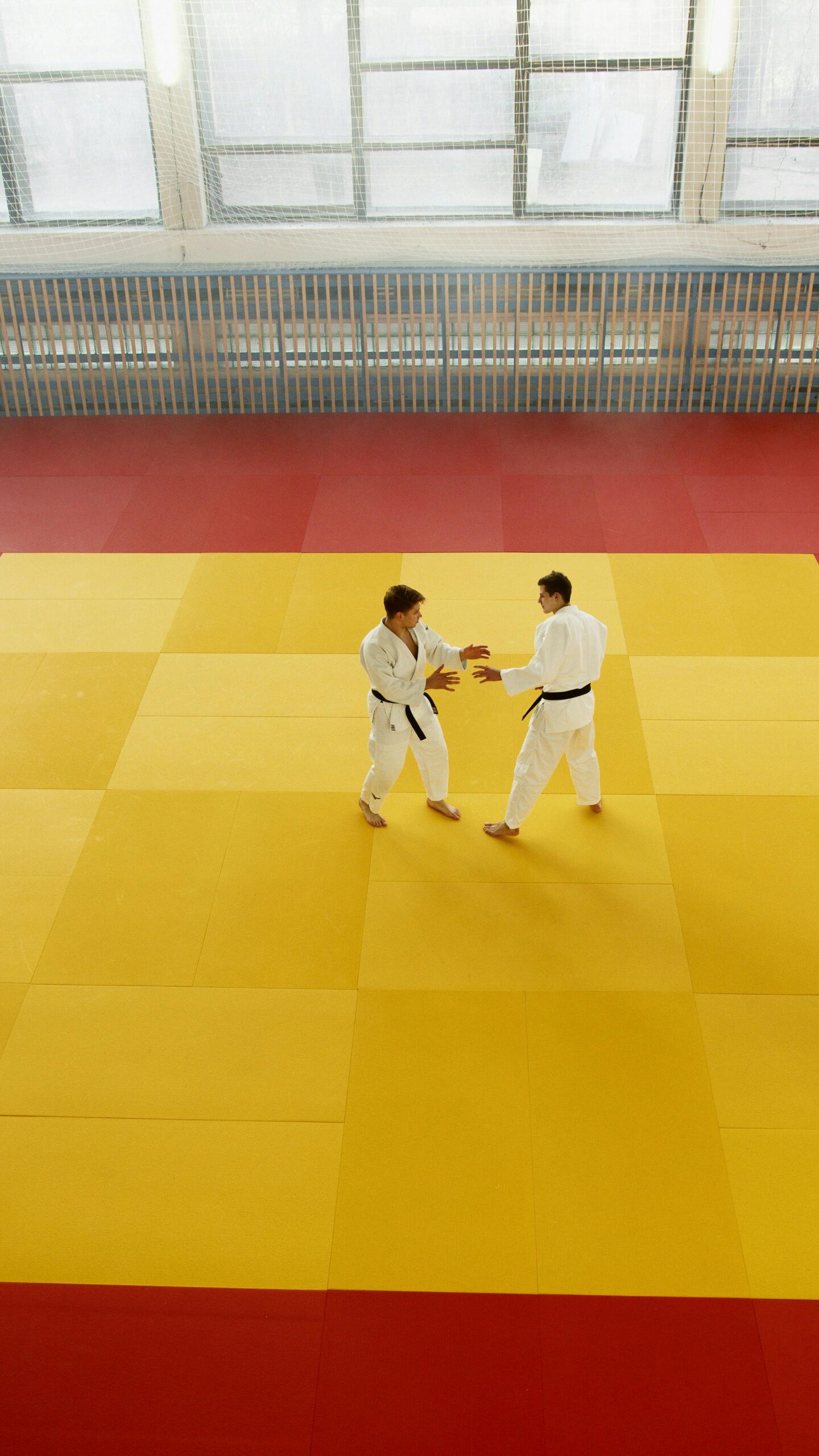 Two martial artists practicing techniques in a dojo with colored mats